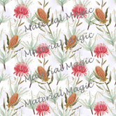 Australia Buddies Blender