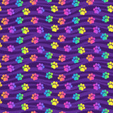Rainbow Paws Hex