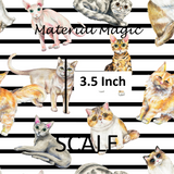 Kitty Lines